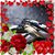 Taryn Osborne's profile image