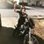 Lindsey McDaniel's profile image