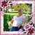 Lisa Mazak's profile image