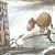 Shelley Allans's profile image
