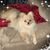 Karen Brakefield's profile image