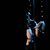 Shiloh Nichole's profile image
