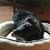 Jill Phillips Murphy's profile image