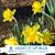 Karen Blatt Binter's profile image