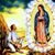 Alma Lemus H's profile image