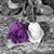 Sue Wisnasky's profile image