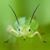 Michael Kooreny's profile image