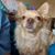 Paula Pogash's profile image