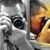 Robert Clouse's profile image