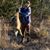 Emery Matt Plumley's profile image