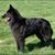 Cheri Feaster's profile image