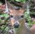 Tina Lofquist-Wanner's profile image