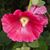 Kathi Wangen's profile image