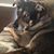 Tonya M Bodiford's profile image
