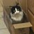 Cathy Pankey Dixon's profile image