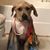 Paco Zuniga's profile image