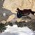 Karen T. Salva's profile image