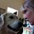 Janie Carter's profile image