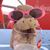 Melanie McNeil's profile image