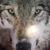 Doug Shupe's profile image