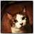 David Manley's profile image