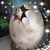 Shannon Sawyer's profile image