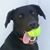 Donna Woodruff's profile image