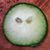 Kevin Amann's profile image