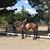 Ruth Geppert-Jelinek's profile image
