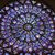 Kelly Pollard Martin's profile image