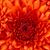 Jamel Reissinger's profile image