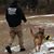 Jason Frisbie's profile image