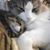 Rose Medeiros's profile image
