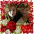 Penny E. Cain's profile image