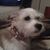 Wilma Arnold's profile image