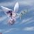 Diane Monet Nobles-Eldakak's profile image