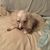 Nancy Shinault's profile image
