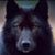 Randy Johnson's profile image