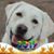 Kathy Pratko Laytos's profile image