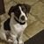 Kim Steinmetz's profile image