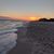 Vickie Peters's profile image