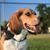 Sheri Biel's profile image