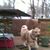 Florine Johnson's profile image