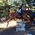 Rachel Kritz's profile image