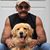 George Hanstein's profile image