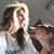 Theresa Tryon's profile image