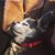 Anita Nicklin's profile image