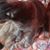 Kimberly Ann White's profile image