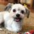 Berni Rickard's profile image