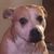 Pagela Perry's profile image